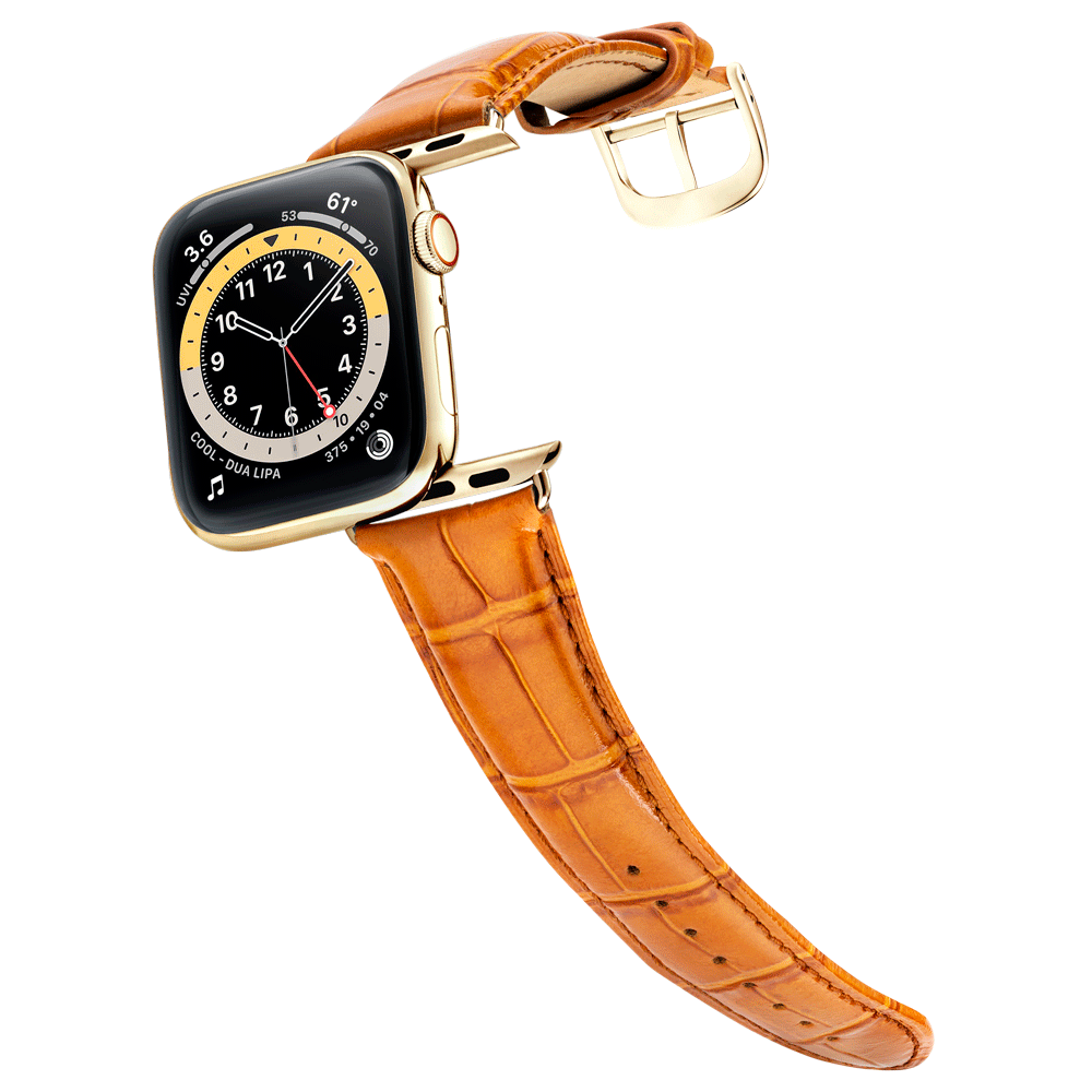 Men's Whiskey Brown w/ Gold Buckle