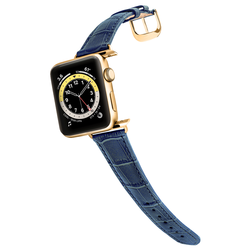 Apple watch sales blue gold